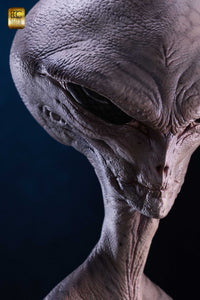 ELITE CREATURE COLLECTIBLES - Reptilian Grey Life Size Bust 1:1 (Art of Steve Wang)