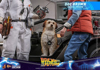 HOT TOYS - Back To The Future - Doc Brown (Deluxe Version) Action Figure 1/6  30 cm MMS610