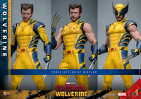 HOT TOYS - DEADPOOL & WOLVERINE - Wolverine (DELUXE Version) Action Figure 1/6 (MMS754)