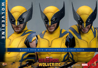 HOT TOYS - DEADPOOL & WOLVERINE - Wolverine (DELUXE Version) Action Figure 1/6 (MMS754)