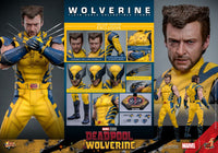 HOT TOYS - DEADPOOL & WOLVERINE - Wolverine (DELUXE Version) Action Figure 1/6 (MMS754)