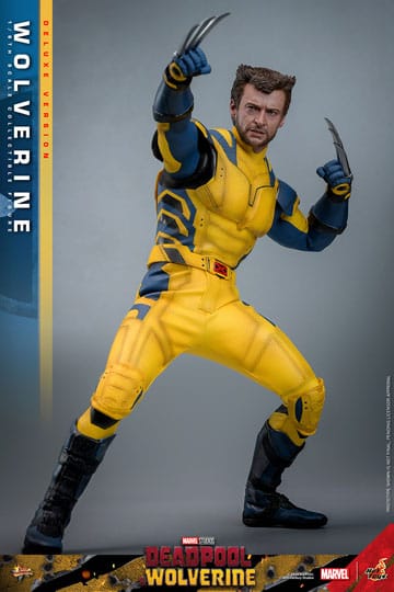 HOT TOYS - DEADPOOL & WOLVERINE - Wolverine (DELUXE Version) Action Figure 1/6 (MMS754)