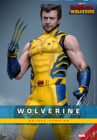 HOT TOYS - DEADPOOL & WOLVERINE - Wolverine (DELUXE Version) Action Figure 1/6 (MMS754)