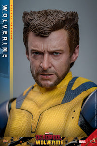 HOT TOYS - DEADPOOL & WOLVERINE - Wolverine (DELUXE Version) Action Figure 1/6 (MMS754)