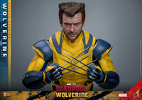 HOT TOYS - DEADPOOL & WOLVERINE - Wolverine (DELUXE Version) Action Figure 1/6 (MMS754)