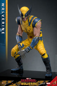 HOT TOYS - DEADPOOL & WOLVERINE - Wolverine (DELUXE Version) Action Figure 1/6 (MMS754)